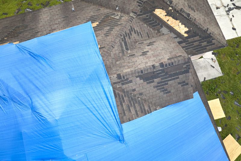 roof tarping and leak repair