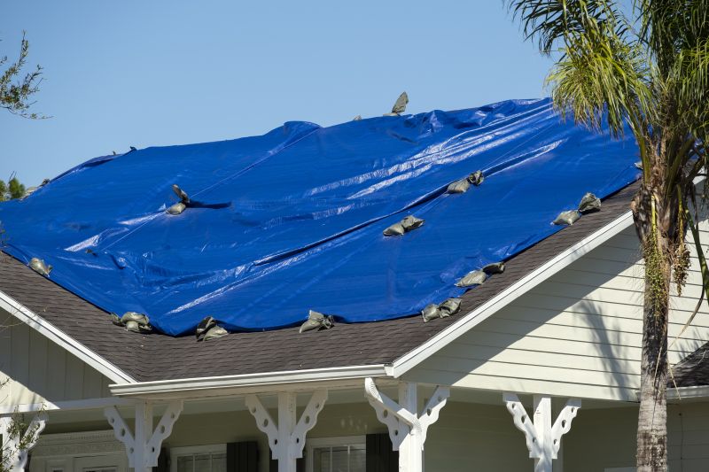 roof tarping and leak repair