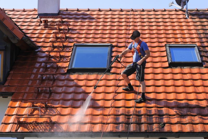 Cleaning a Roof with Professional Equipment