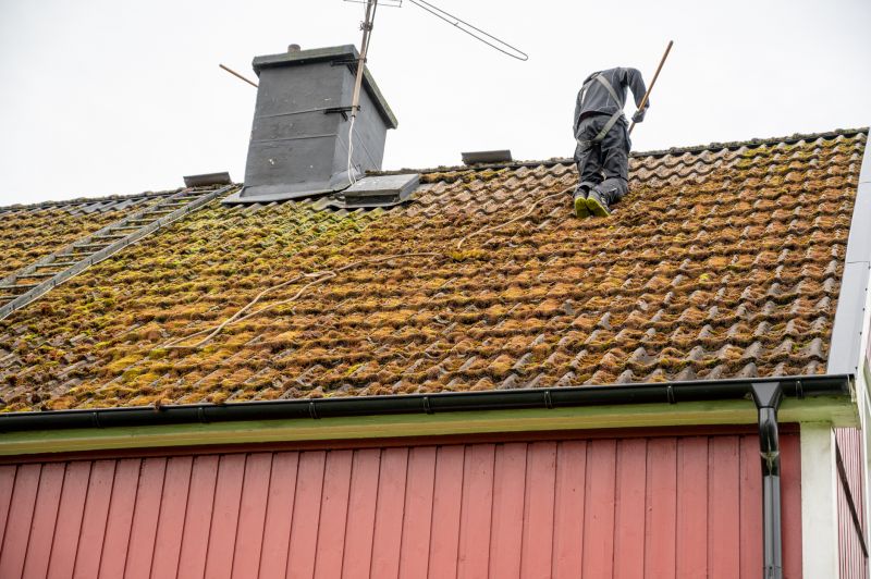 Cleaning Moss from Roof