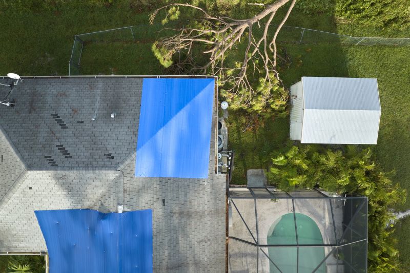 Roof Tarping And Leak Repair